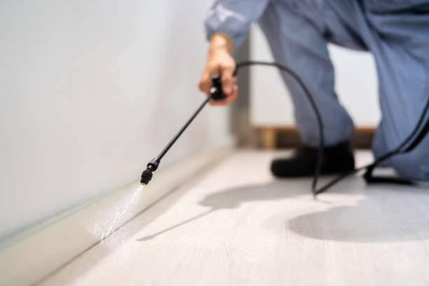Licensed Cockroach Control service in O'Fallon, IL - Nex Pest Control