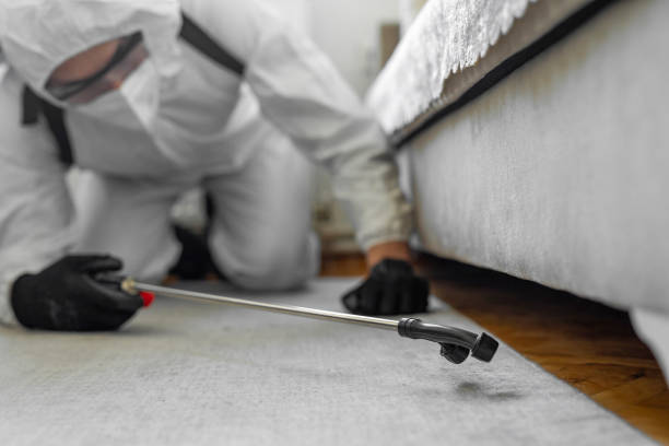 Professional Cockroach Control technician working in O'Fallon, IL