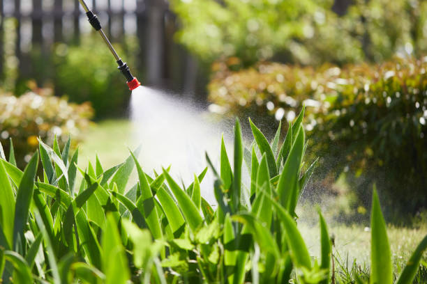 24/7 Emergency Cockroach Control experts in O'Fallon, IL